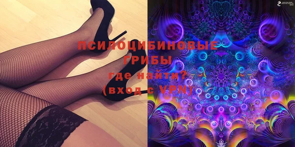 ПСИЛОЦИБИНОВЫЕ ГРИБЫ Няндома