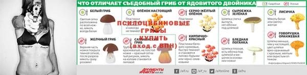 МДПВ Осинники