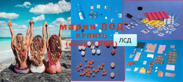 ПСИЛОЦИБИНОВЫЕ ГРИБЫ Няндома
