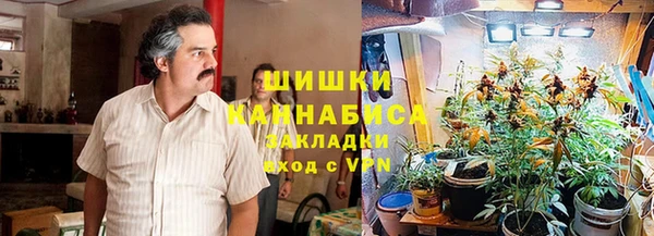 ПСИЛОЦИБИНОВЫЕ ГРИБЫ Няндома